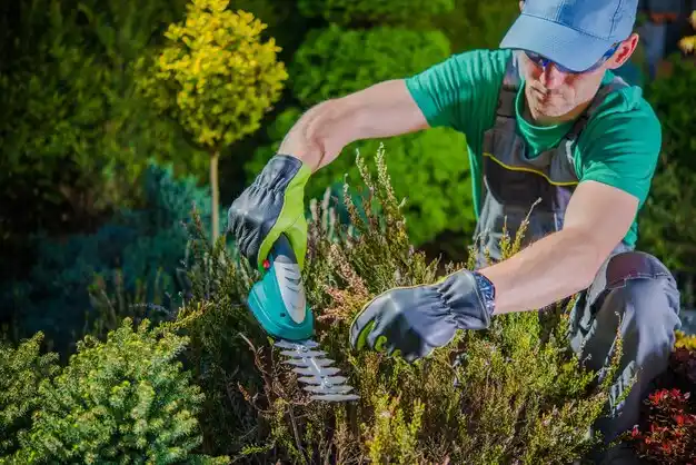 landscaping services Norwalk